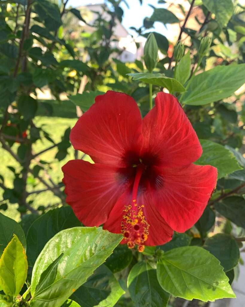 Csodás török természet 😍🌱🌿🌷🌺🌸🌼🪷