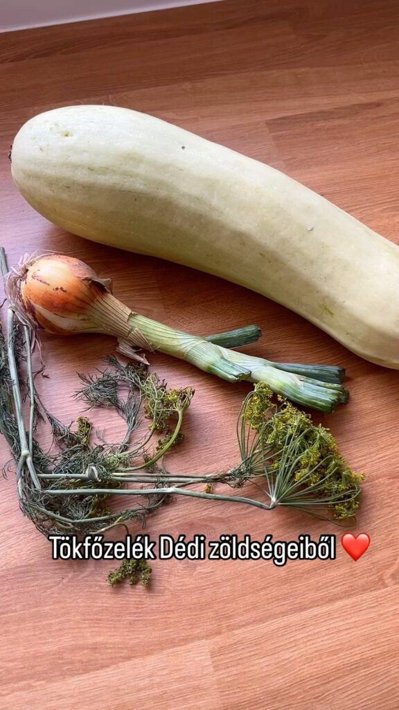 Tökfőzelék Dédi zöldségeiből sertéspörivel ❤️
